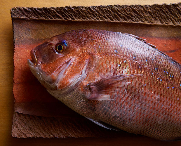 鮮魚